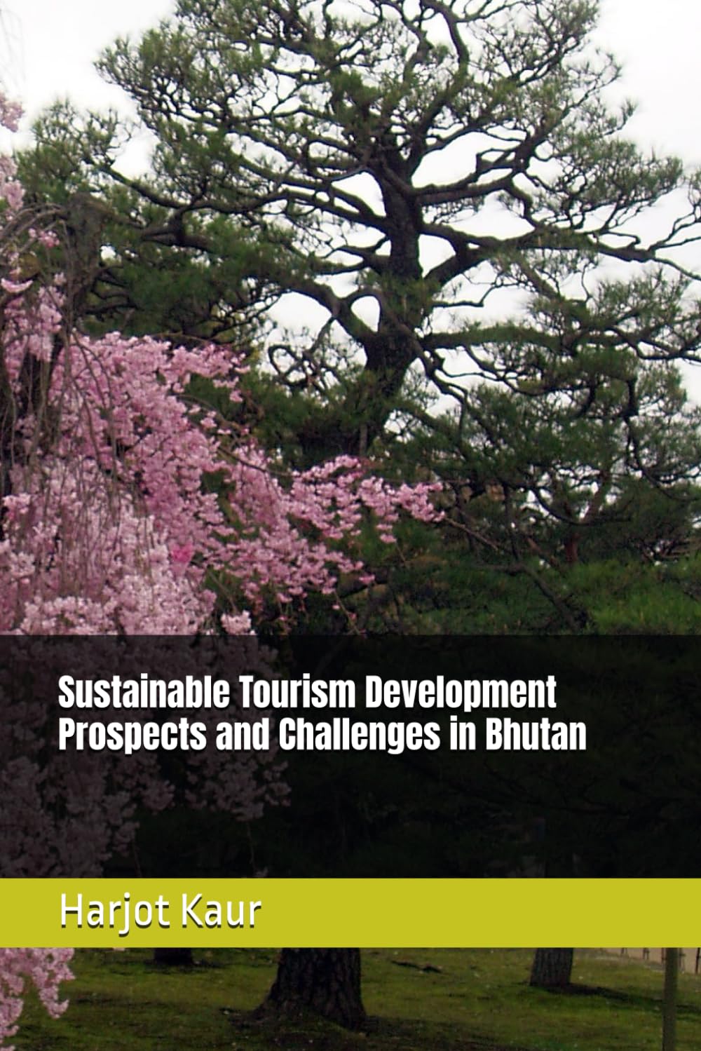 Sustainable Tourism Development Prospects and Challenges in Bhutan