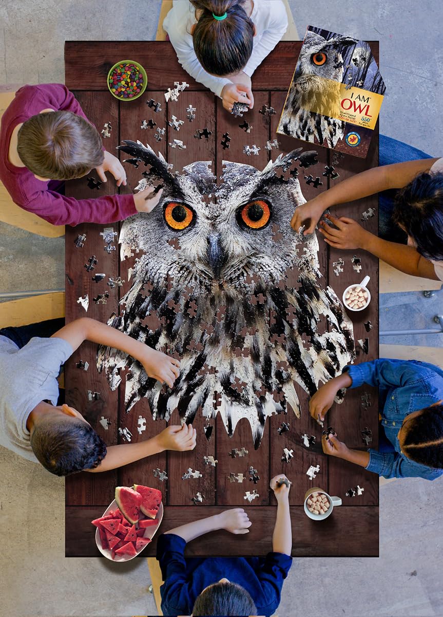 MADD 3013-IAMOwl CAPP 883013 Puzzle en Forme de Chouette, Contour de 550 pièces, pour Enfants et Adultes, Multicolore