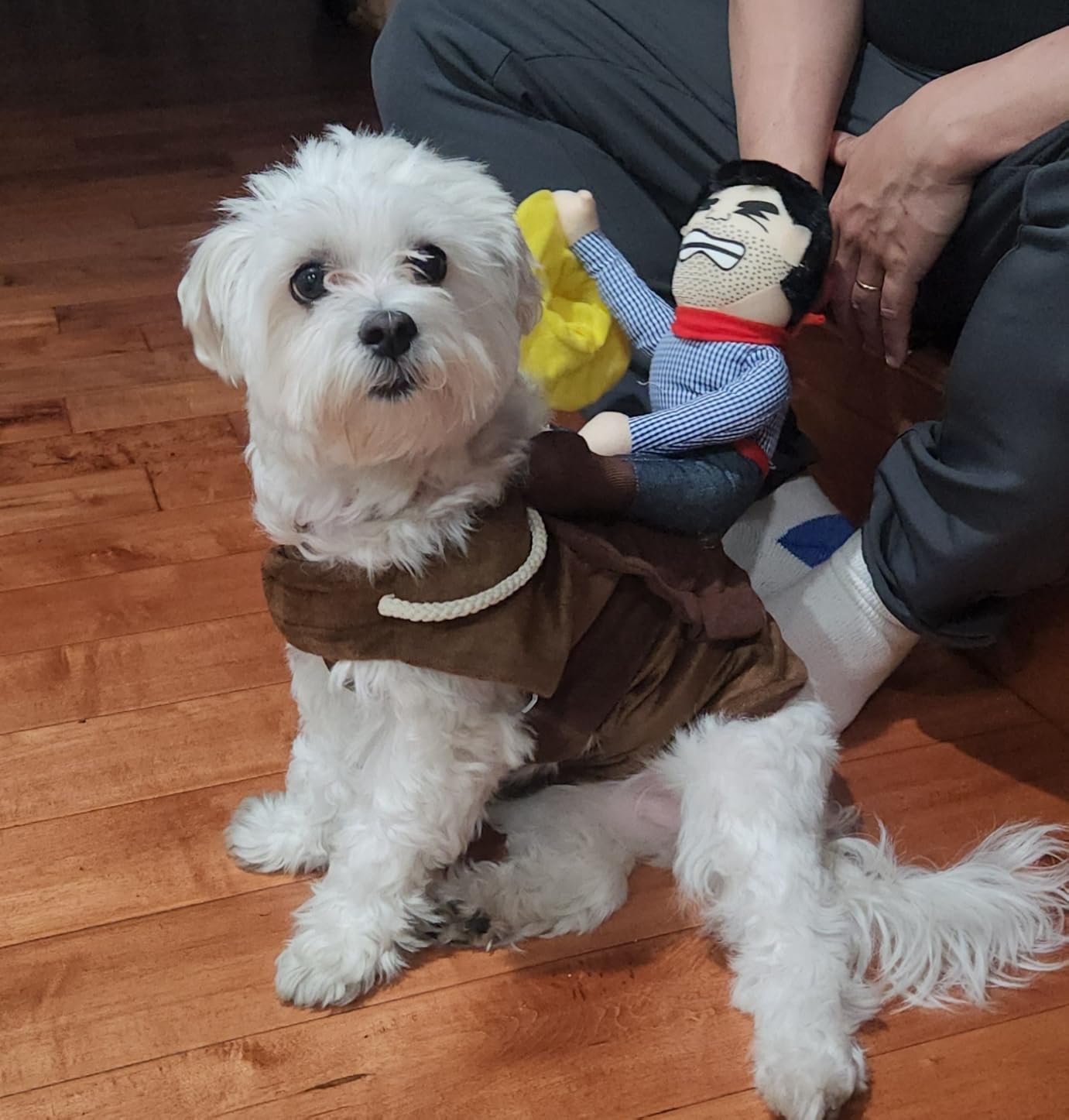 NACOCO Cowboy Rider Dog Costume