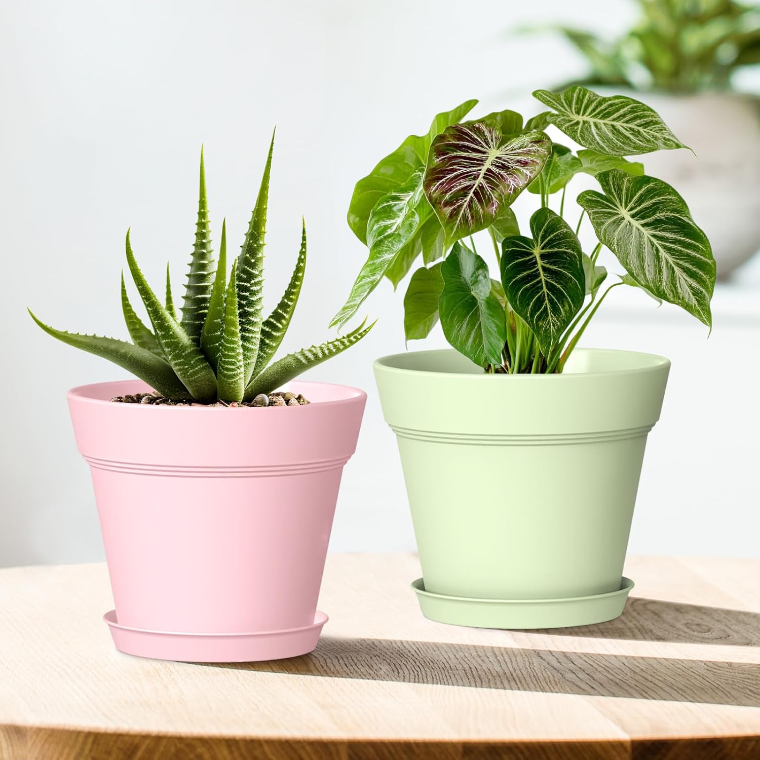 WSMKSZ 7 Inch Thick Plastic Plant Pots with Drainage Holes and Trays – 6 Pack Nursery Pots for Indoor & Outdoor House Plants, Seedling Starter Planters for Garden Flowers, Colorful