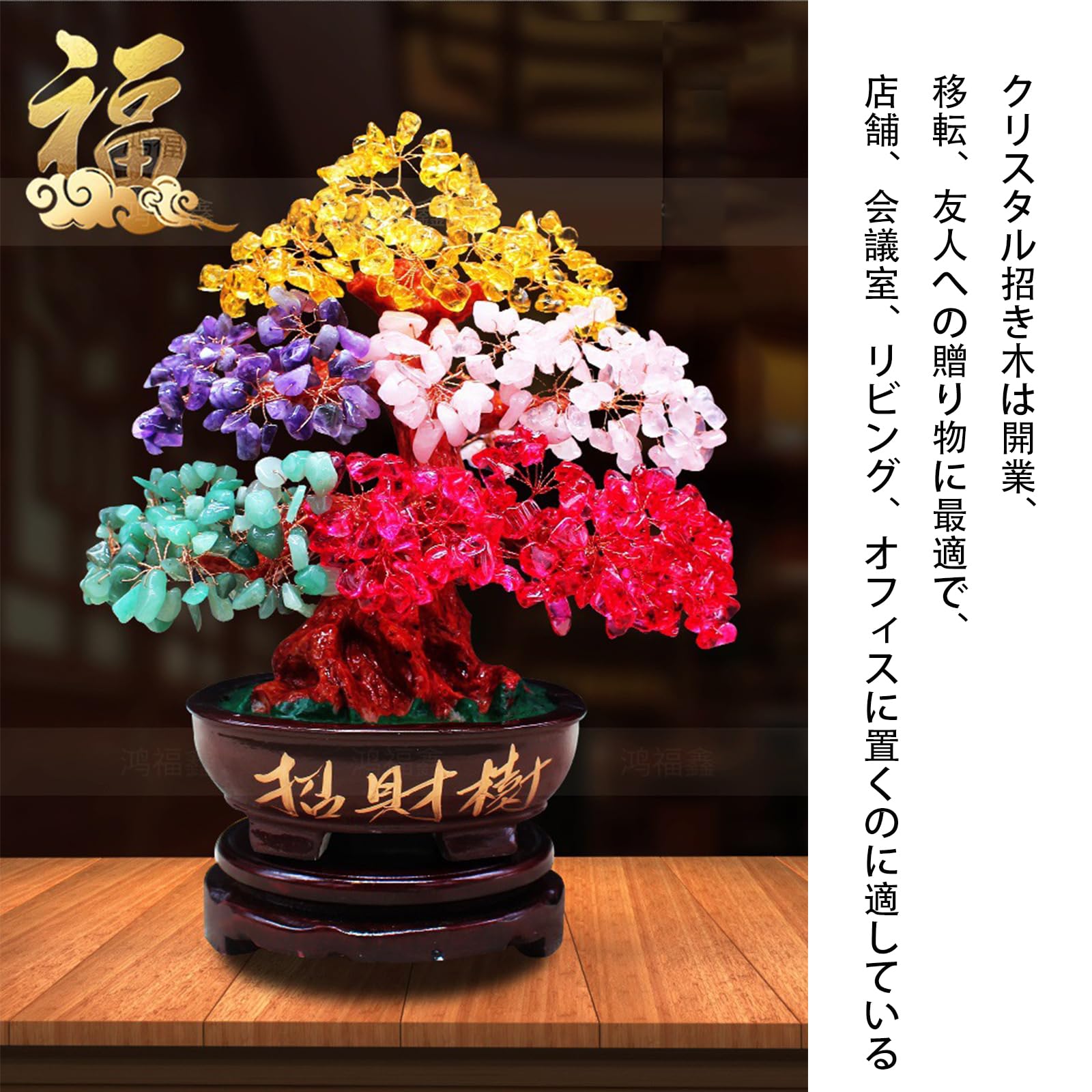 風水 カラフル 5色 招財樹 金のなる木 風水アイテム 金運アップ 財運