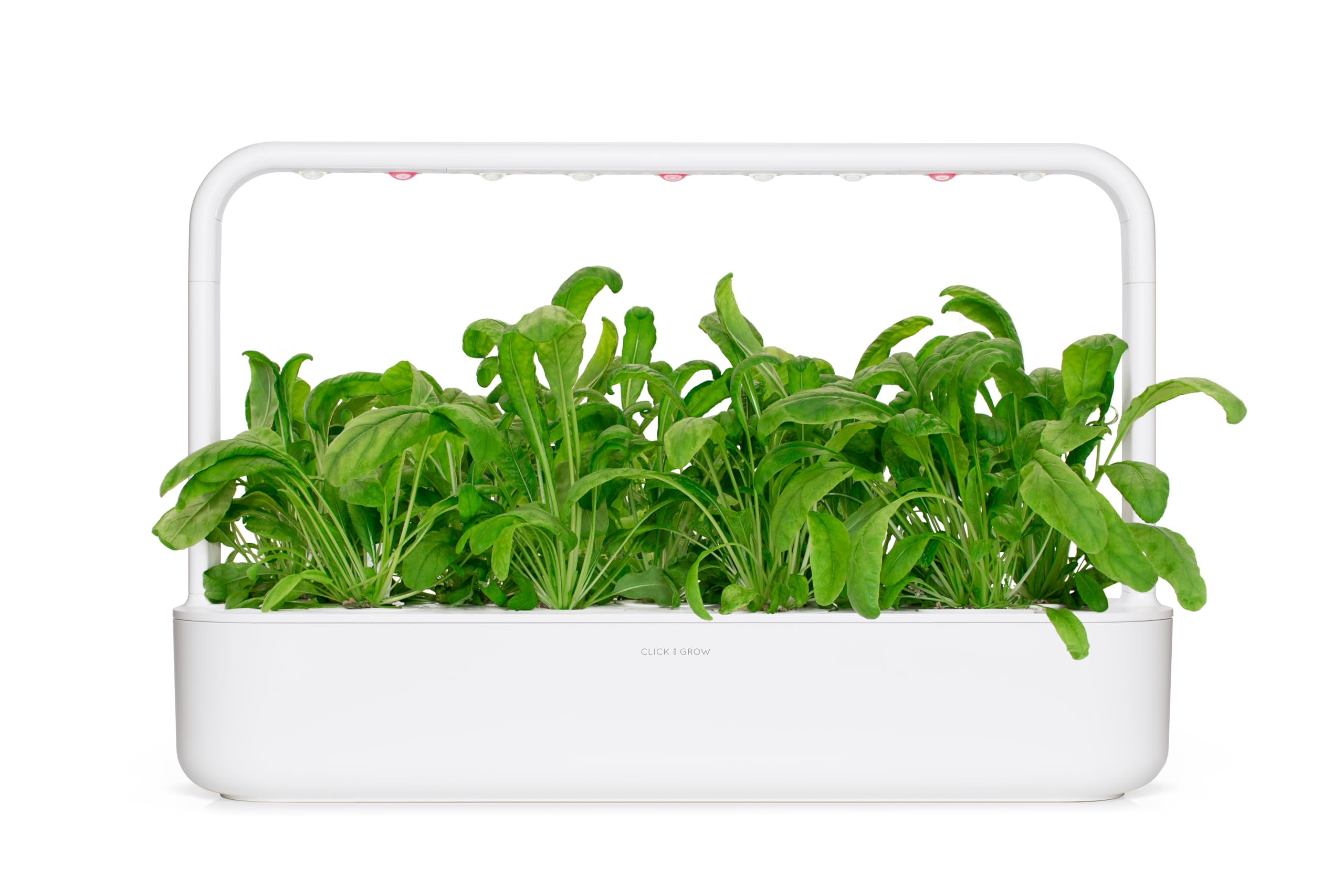 Click and Grow Mibuna Plant Pod Nachfüllpack Substratkapsel Pflanzenkapseln Smart Garden Indoor Garden 3-er Pack