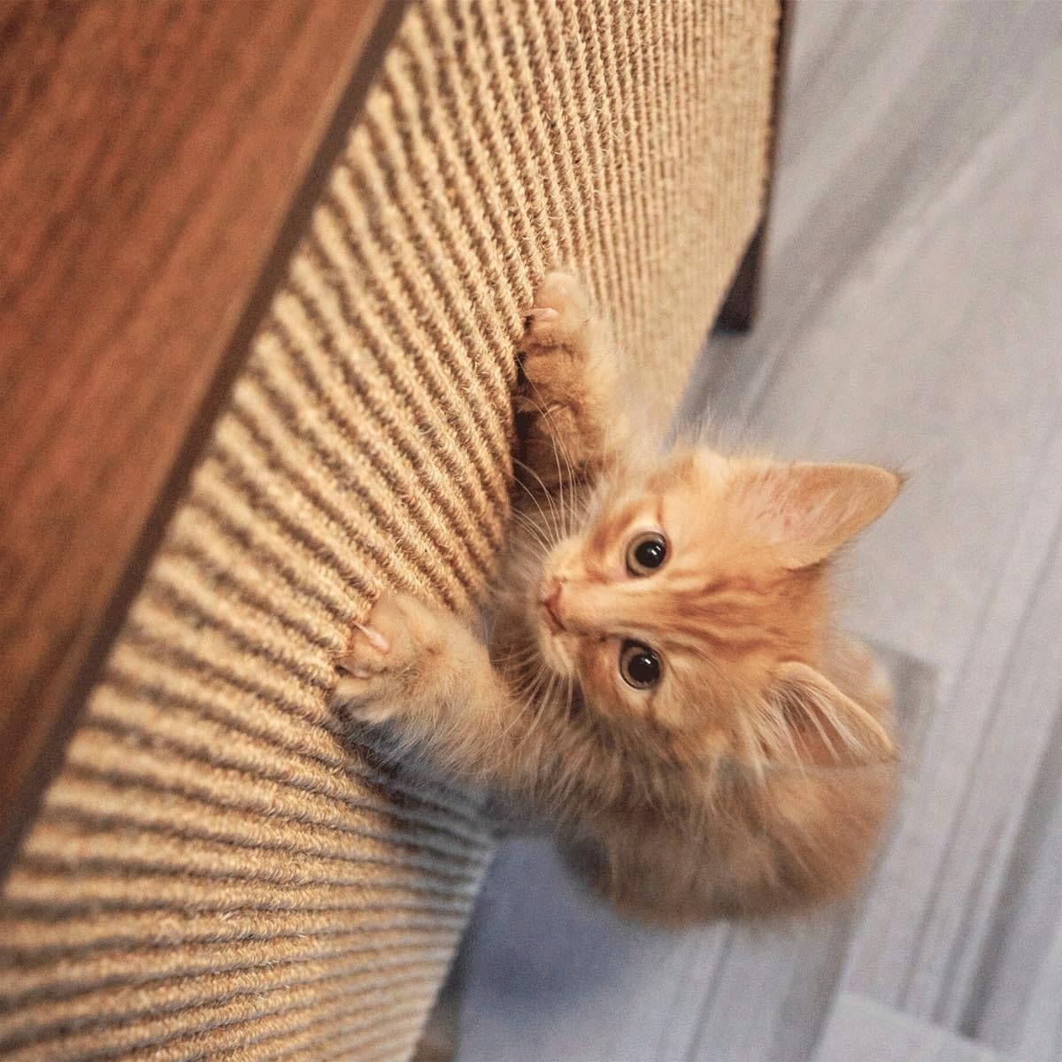 Wesley Cat Scratcher – Multi-Purpose Wall Shelf for Entryways, Sisal Scratching Surface for Cats, Shelf for Keys & Décor, Engineered Wood, 20”x11”x40”, Stylish & Durable – Walnut - image 5