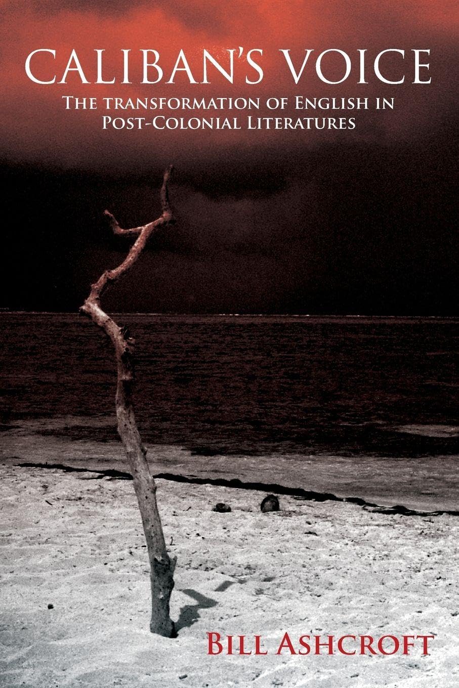 Caliban's Voice: The Transformation of English in Post-Colonial Literatures      1st Edition