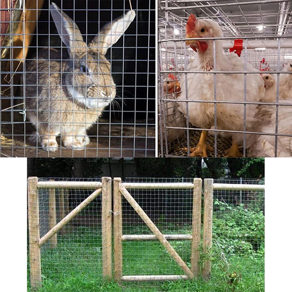 Tkanina sprzętowa ze stali nierdzewnej, spawana siatka druciana bariera siatkowa do kurczaka, węża, szopa, szopa, kontroli zwierząt