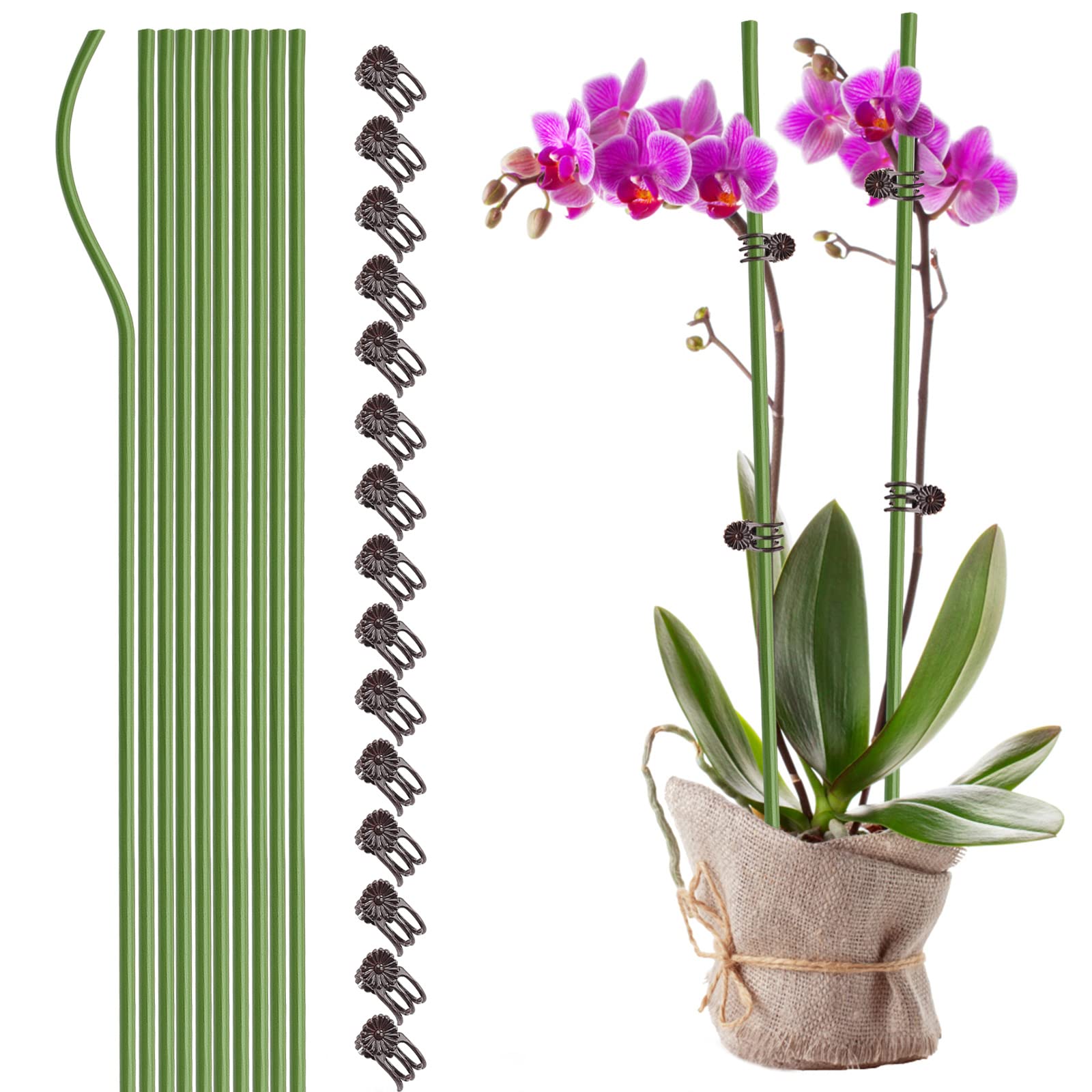Wnvivi 20Pcs Plant Support Stakes with 30Pcs Clips,Single Stem Orchid Stakes,Bendable Plant Sticks Support for Indoor Outdoor Plants(Green,60cm)