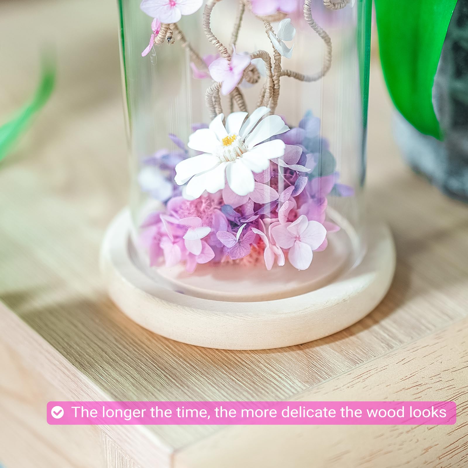 IVOLADOR I Glass Cloche Dome, Glass Display Cloche Case with Solid Wooden Base for Plants, 7" x 4" Medals Display, Antique Collectibles, Large Size Office Home Decoration( Base)