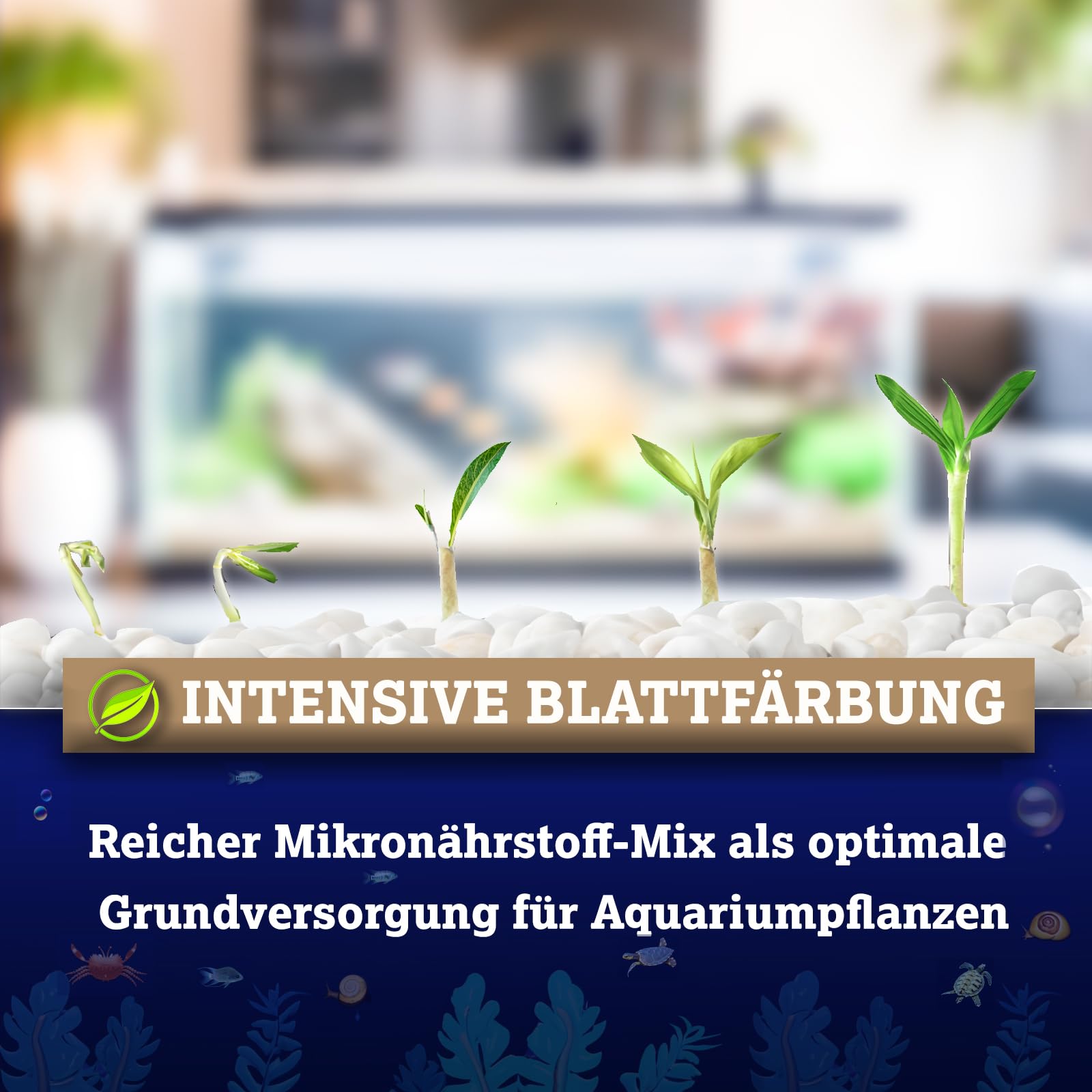 DRAK-Aquaristik Ferrdrakon Fertiglsung 0,5l Eisendnger Aquarium |  Aquarium Pflanzendnger hochkonzentriert | Flssig Dnger fr Intensive  Blattfrbung | Basis-Dngung fr Aquarienpflanzen Wachstum : Amazon.de:  Haustier