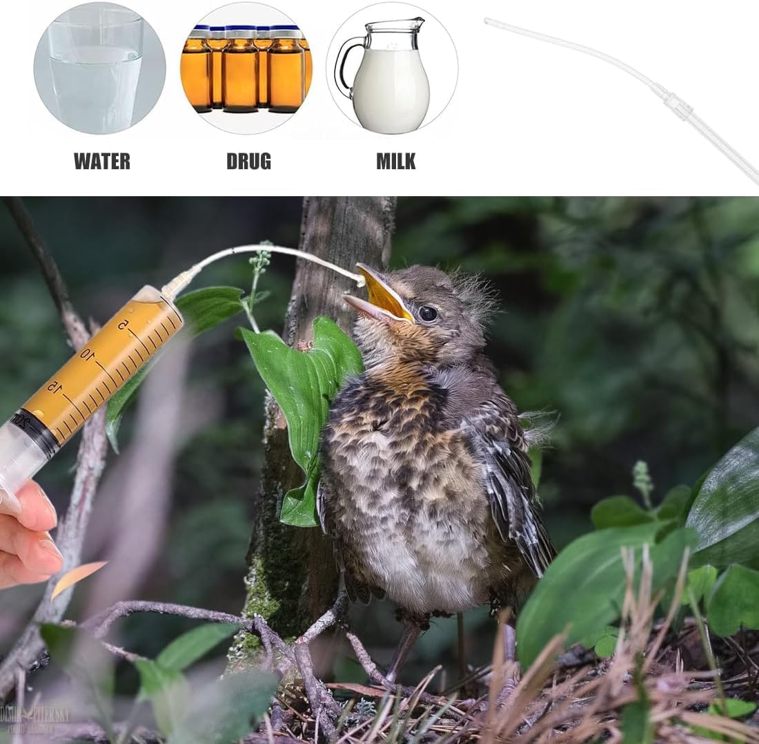 Bébé Oiseau Seringue Alimentation 5 ML Accessoires Pigeons Tortue Colombe Perruches