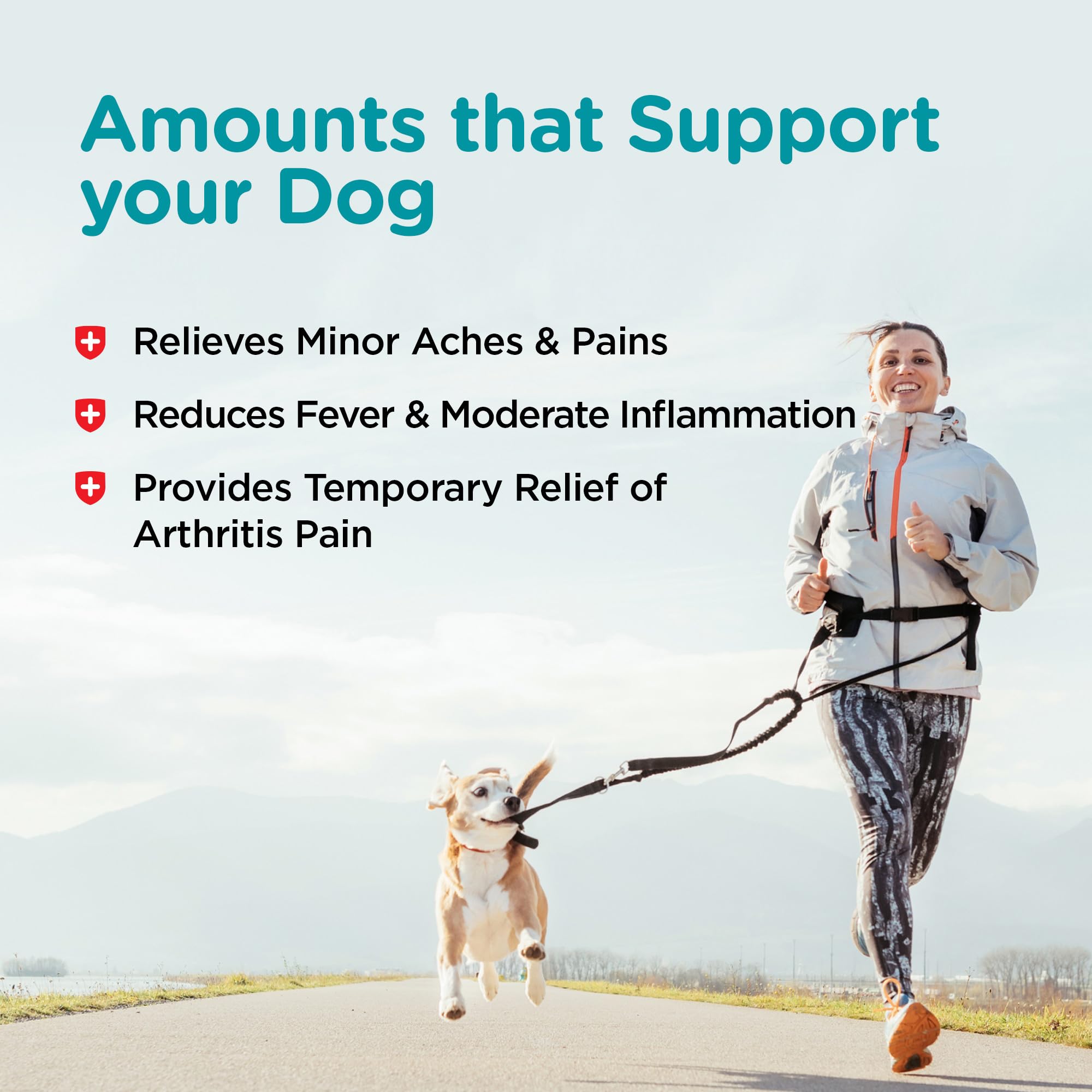 Nutri-Vet Aspirin for Dogs, Arthritis Pain Relief, Small Dog Aspirin, Inflammation Relief, Joint Support for Seniors, 120mg per Tablet, Under 50 lbs, 100 Count