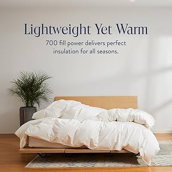 Amazon.com: Brooklinen All Season Luxury Down Comforter, 100