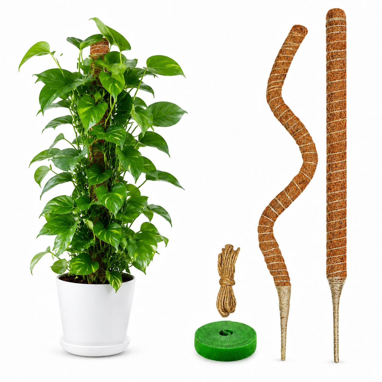 Moosstange, 71,1 cm, Moosstangen für Pflanzen, Monstera, biegbare Pflanzenstützpfähle für Kletterpflanzen im Innenbereich, Garten-Rankgitter für Topfpflanzen, Pothos, 2 Stück