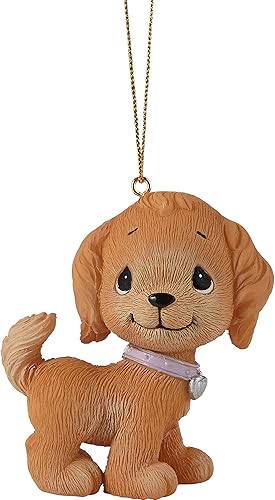 Precious Moments 226408 Don't Stop Retrievin' Golden Retriever - Adorno de resina, multicolor Precious Moments 226408 Don't Stop Retrievin' Golden Retriever - Adorno de resina, multicolor
