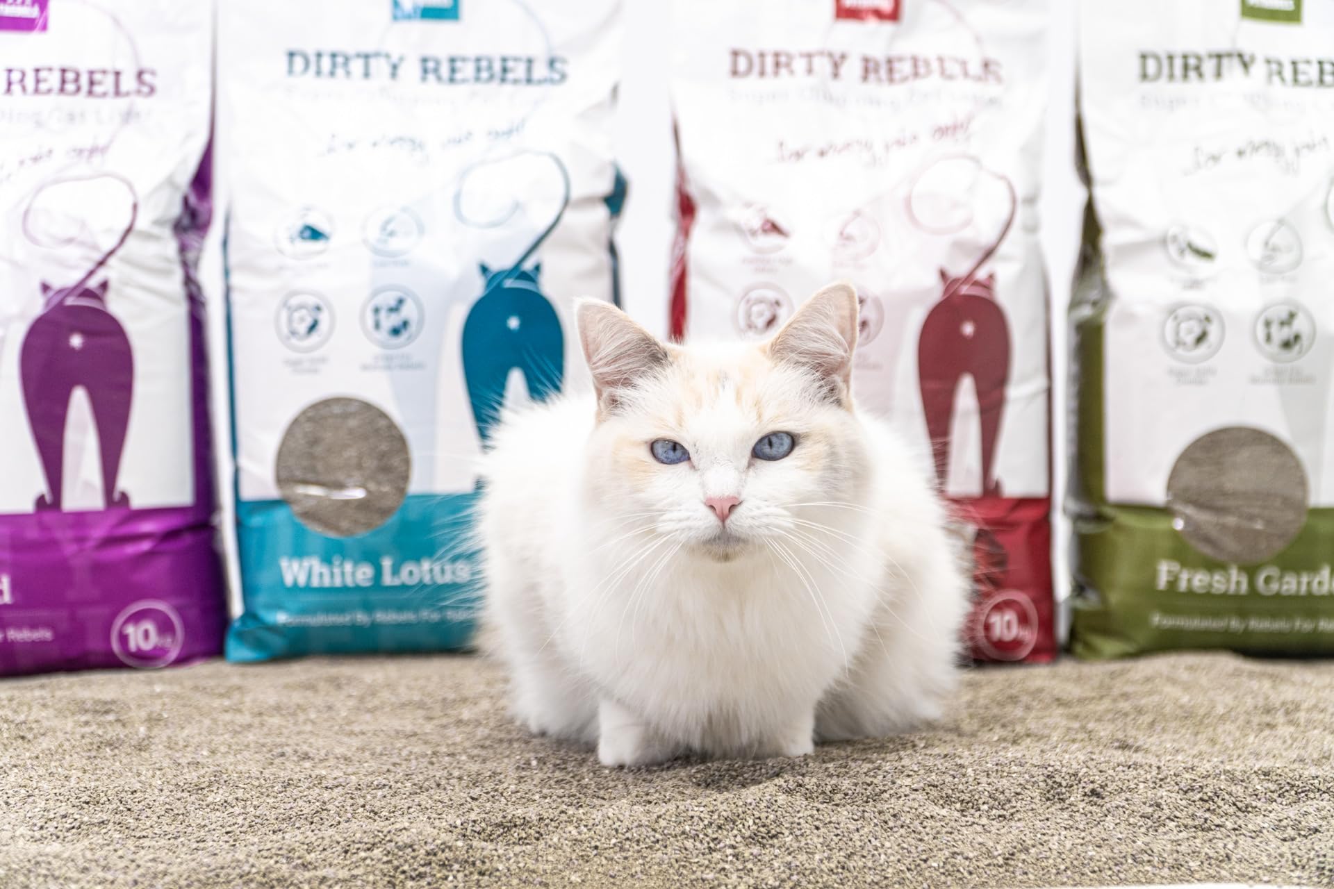 Petrebels Katzenstreu Dirty Rebels, 12x 10 Liter, Fresh Garden Duft, 100% Natürlich, 12er-Pack