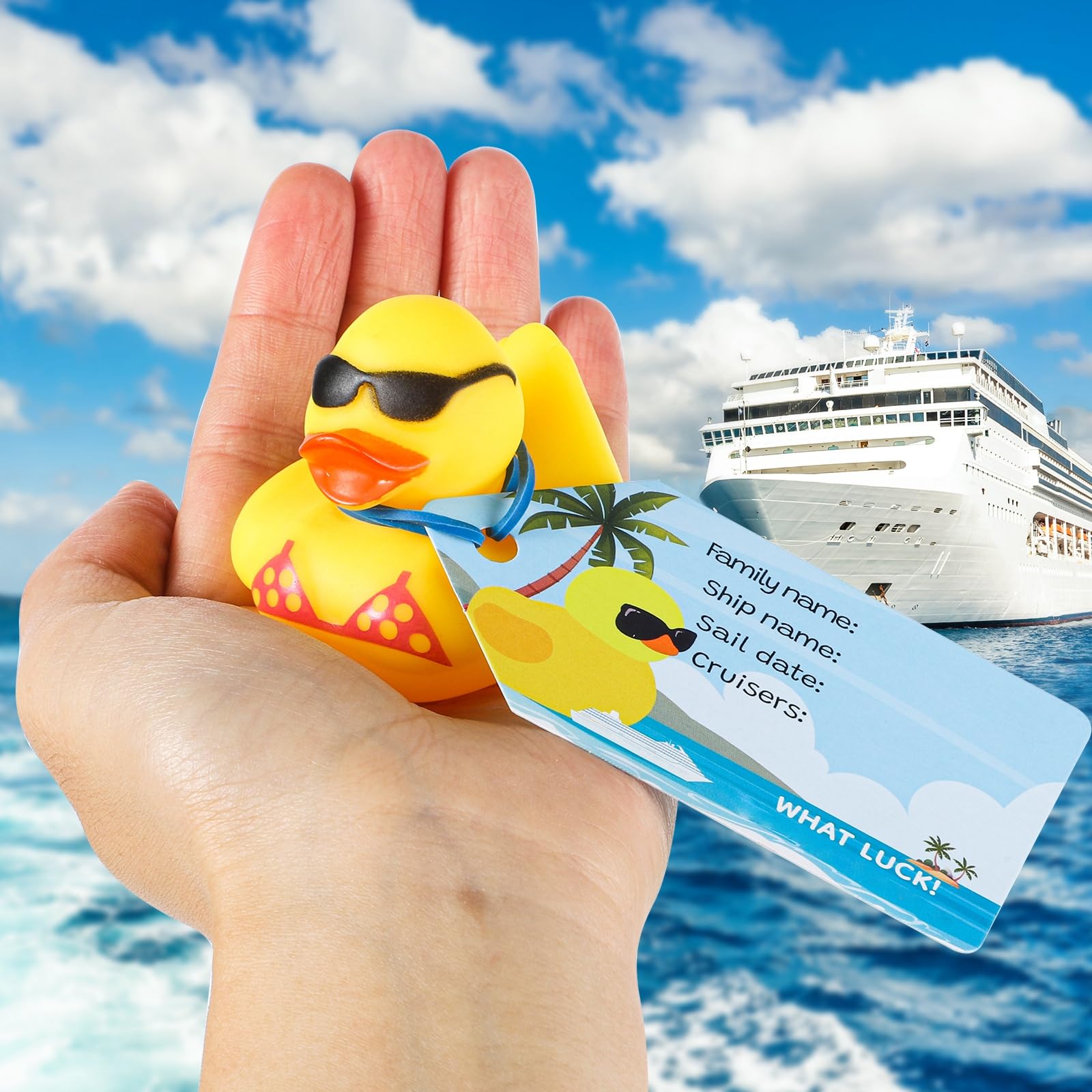Duck Tags, You've Been Ducked - Tarjeta De Juego De Pato, Paquete