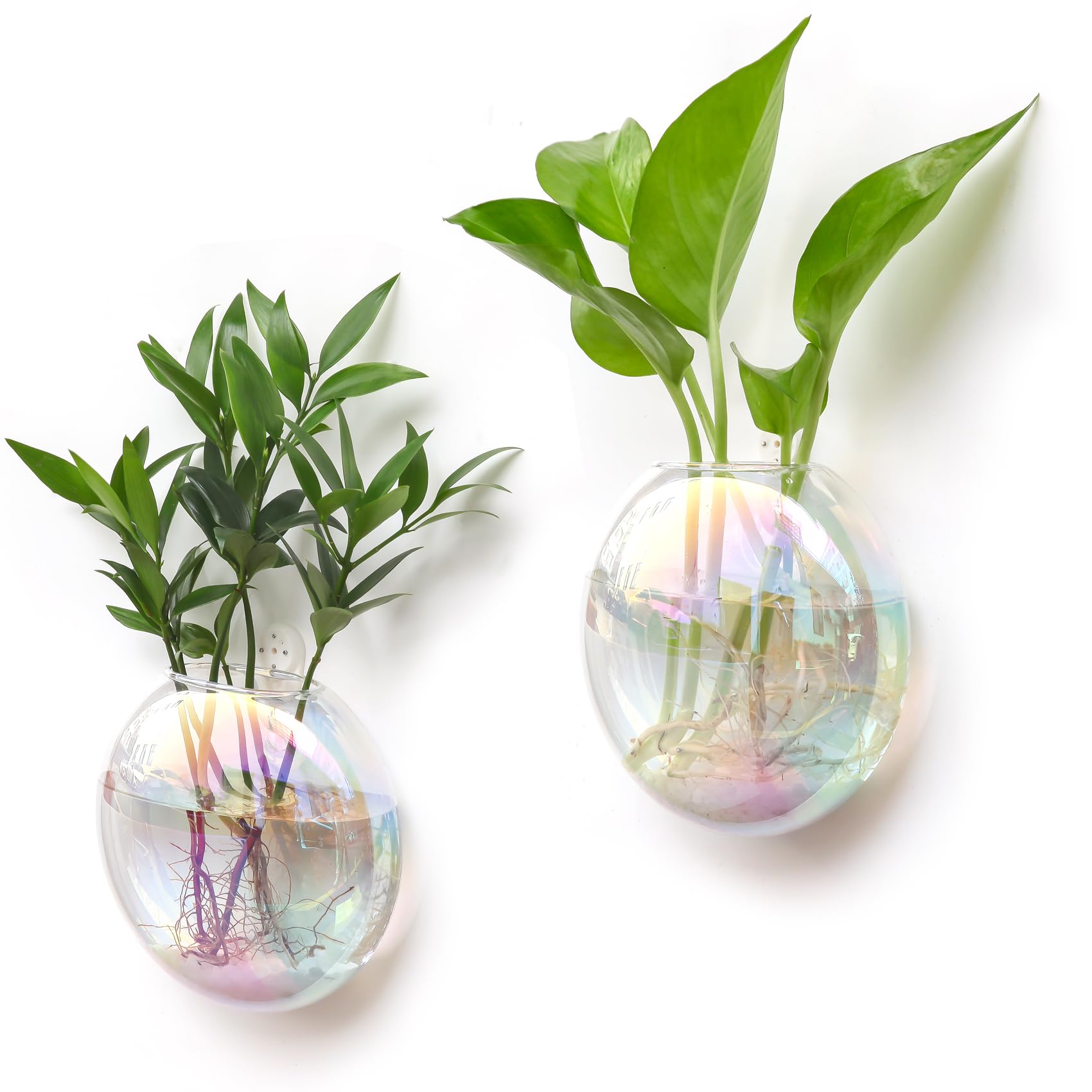 2 Pots Suspendus En Verre Ovales Kingbuy - Vases Muraux Élégants Pour Plantes D'Intérieur, Salon, Salle De Bain, Bureau - Cadeau Idéal