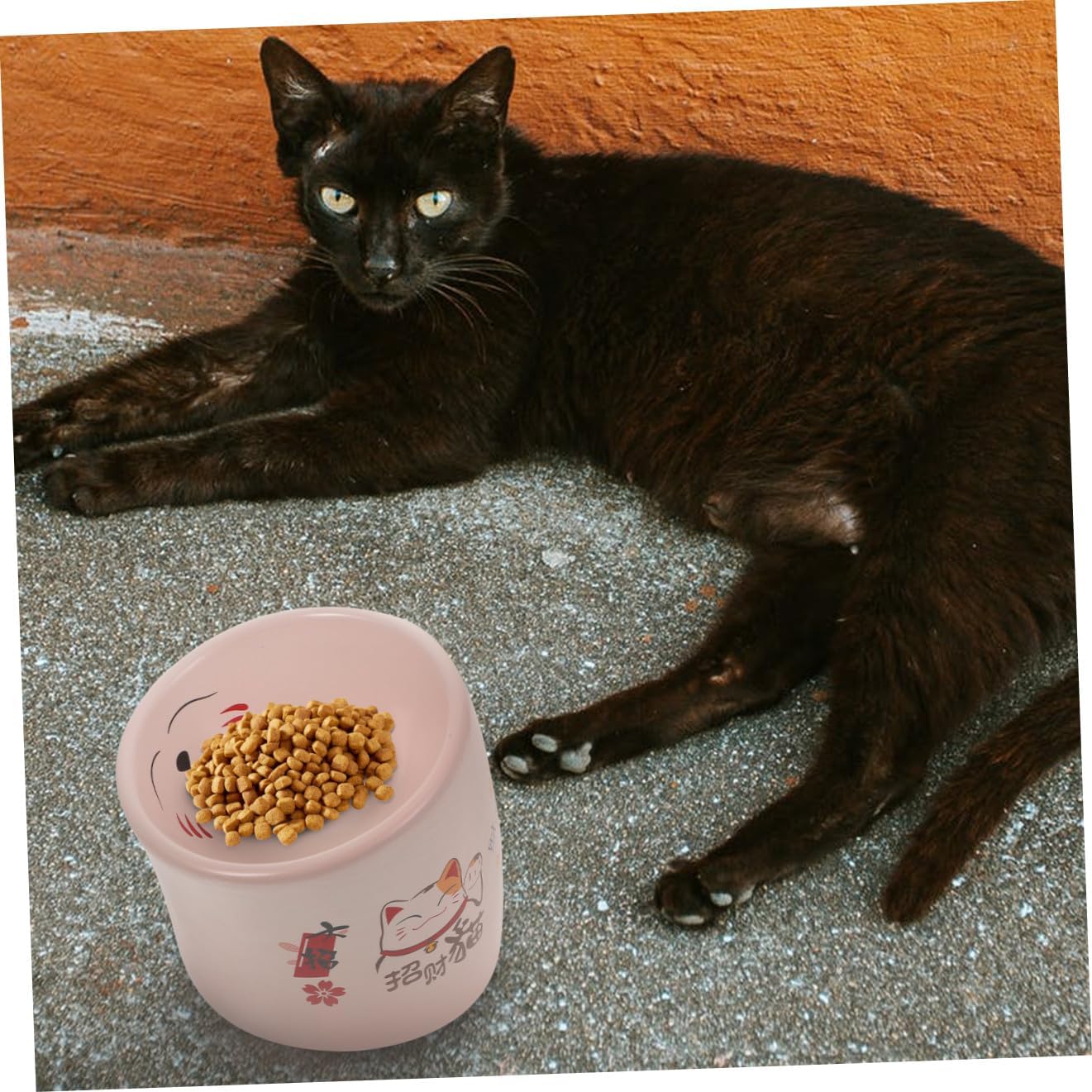 Luxshiny Anti-tip Raised Ceramic Cat Bowl with Neck Protection, Pink Pet Feeding Dish for Cats and Dogs, Spill-Resistant Elevated Water and Food Feeder