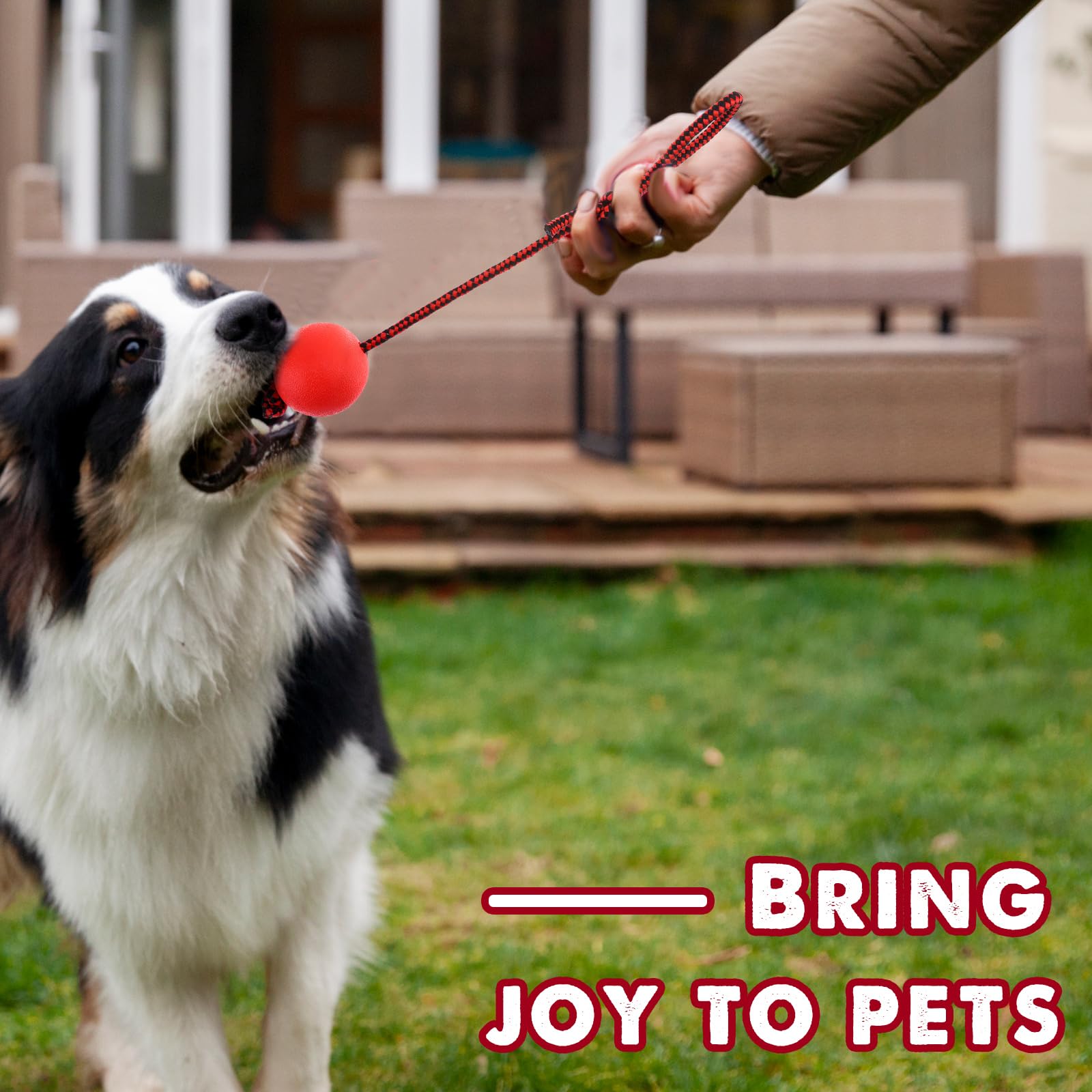 Haiabei 4 Pcs Dog Rope Ball Dog Ball On a Rope Dogs Toy Durable Elastic Solid Rubber Balls Interactive Rubber Ball Chew Toys for Small Medium Large Pet Fetching Catching Throwing and Tugging(5 x 38cm) - Image 3