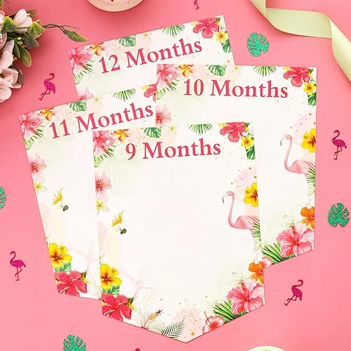 Miniatura 5 de Cartel hawaiano de 1er cumpleaños para niñas, cartel de Aloha para bebés de recién nacido a 12 meses, accesorio de fotos mensual con temática