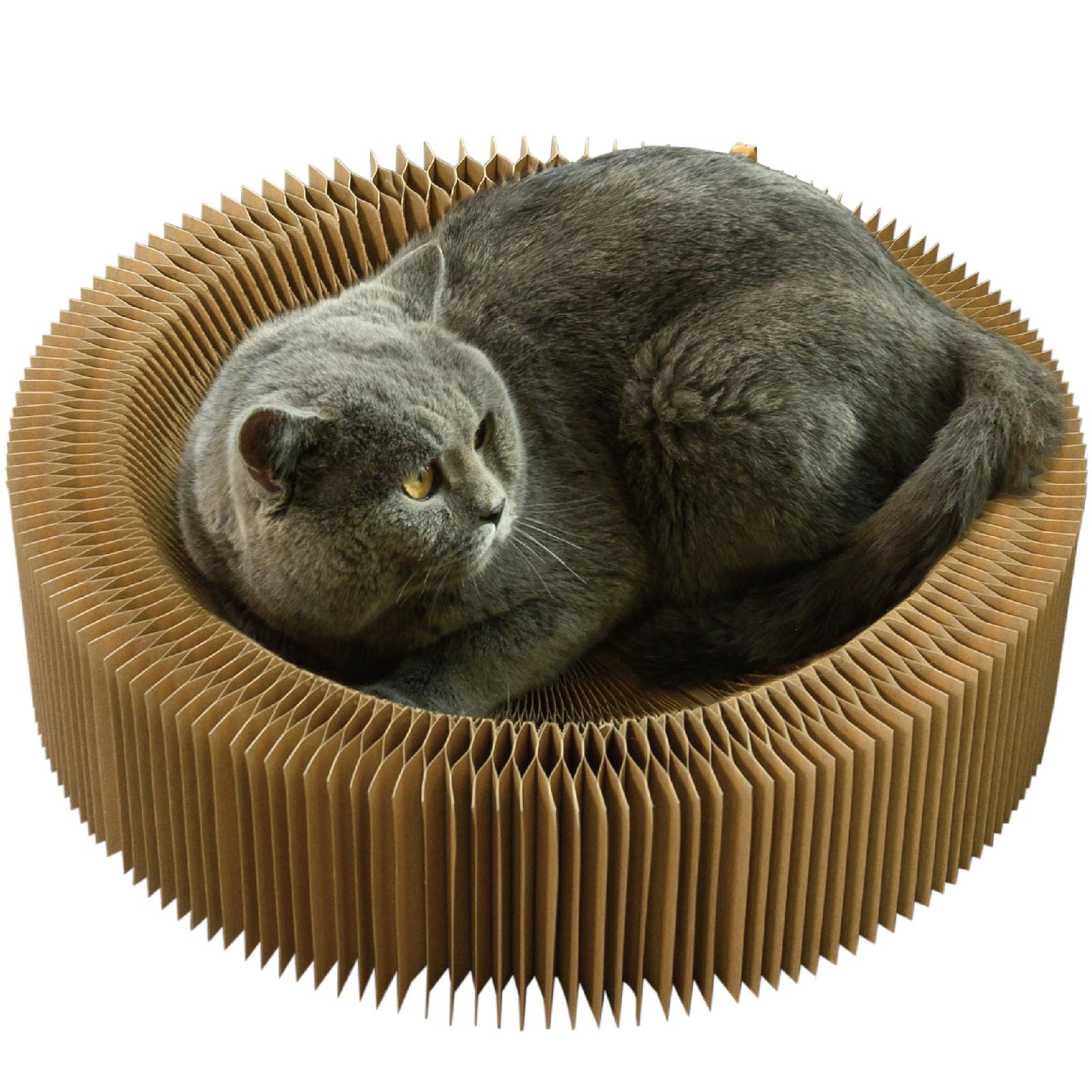 Cat Scratching Board, Foldable & Portable Round Shape Corrugated Cat Scratcher Lounge Bed, Durable Interactive Cat Scratch Pad Toys Suitable for Indoor or Travel- Unfolded Diameter 22 Inches