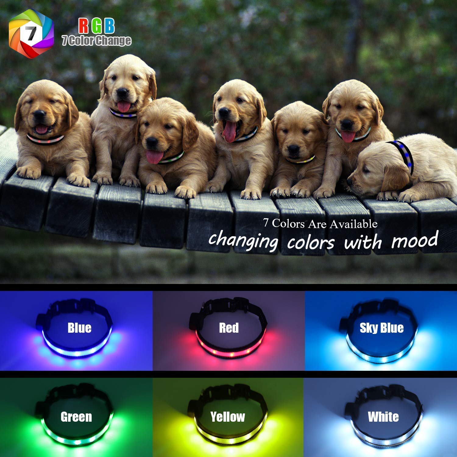 Collar de Seguridad LED para Perro, Recargable por USB, Collar de Nailon para Mascotas con Hebilla de Metal, Resistente al Agua, luz Intermitente, Hace Que tu Perro Sea Visible, Seguro y Visto