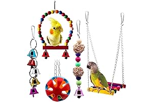BWOGUE Bird Swing Toys for Pet Love Birds