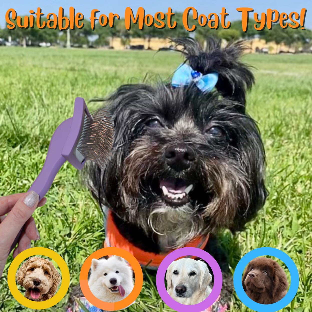 Pro-Slicker Brush Grooming Tool for Pets: Small Purple, Soft Cushion Bed of Dull Pins, Gentle but Effective. Easily and Painlessly Remove Thick Undercoat. Reduce Brushing Sessions, Groom like a Pro