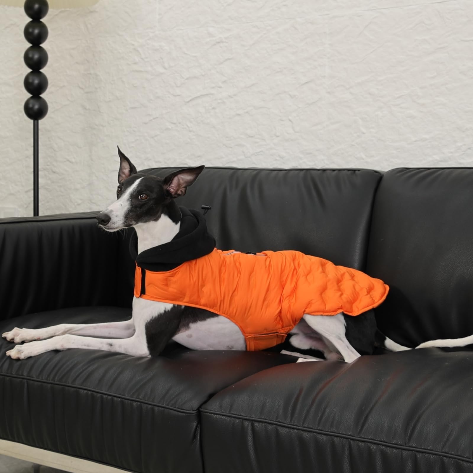 DORA BRIDAL Veste chaude et légère avec capuche pour chien - Veste réfléchissante pour temps froid - Pour chiens de taille moyenne - Orange - Taille M