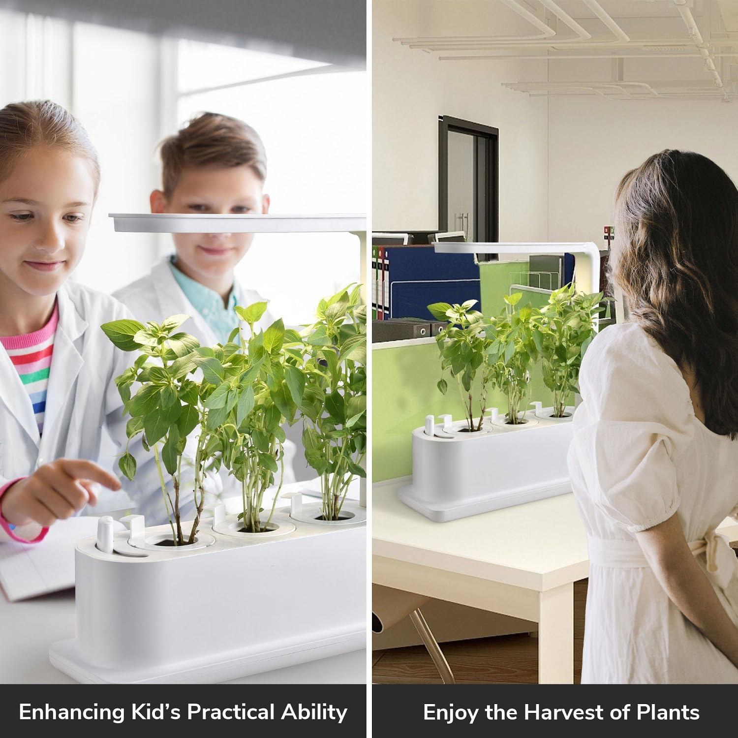 Growing Kits & Systems Hydroponic Growing System 3-Pot, Soil-Free Growing System with LED Grow Lights, Height-Adjustable, Indoor Gardening System,Herb Garden, Plants Germination Kit