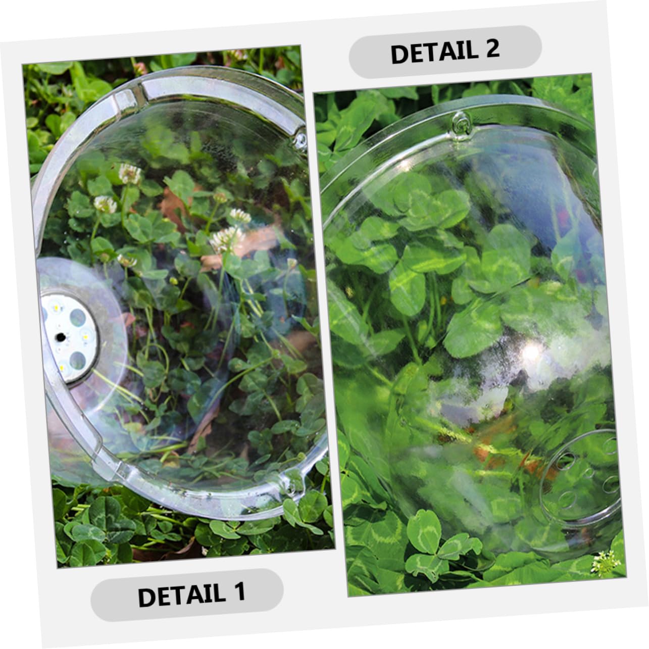 TOYANDONA 6pièces Cloche Plastique Dôme Humidité Couvercle de Jardinière Plastique Bâche de Pépinière Protection pour Plantes Dôme Transparent pour Plantes Cloche de Pépinière Pot Forme
