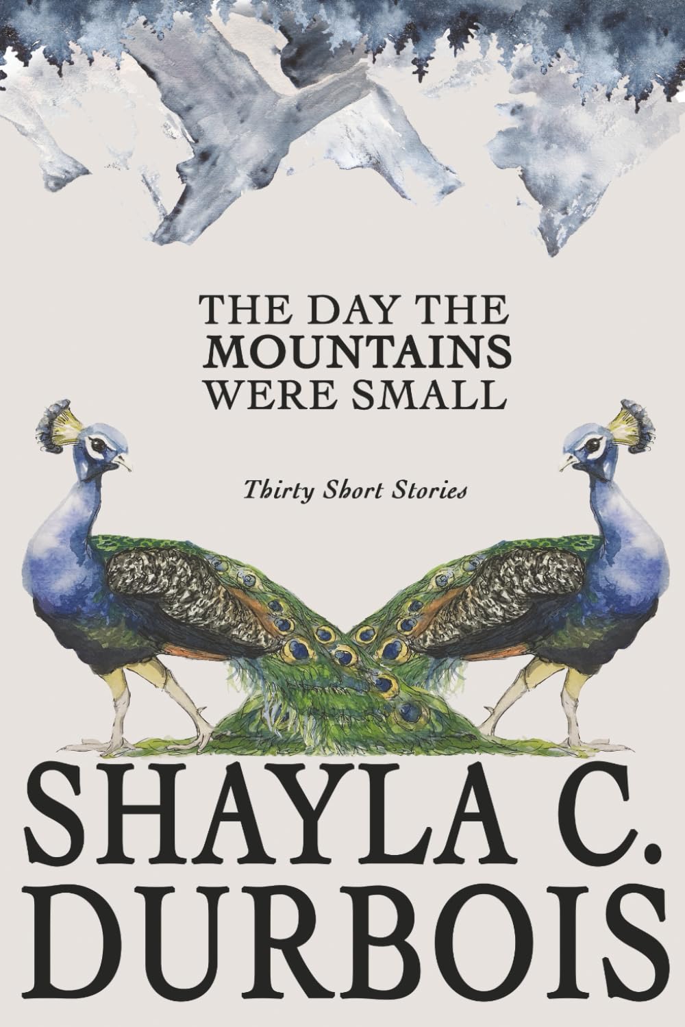 The Day The Mountains Were Small: Thirty Short Stories
