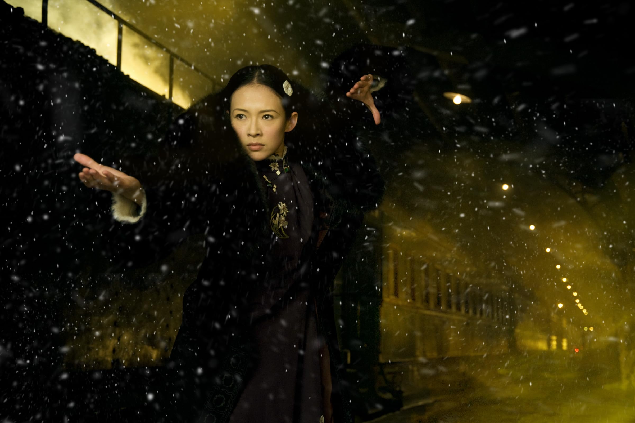 The Grandmaster - Édition collector limitée 2 Blu-Ray