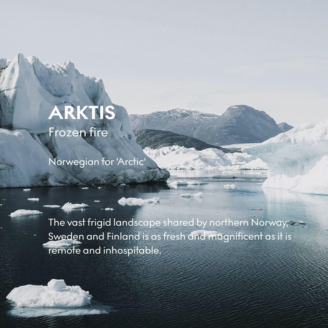 Skandinavisk ARKTIS Diffuseur de parfum avec 8 roseaux Notes de parfum : bois balayé par le vent et sauge arctique, menthe verte et flocons de neige. 93,6 g