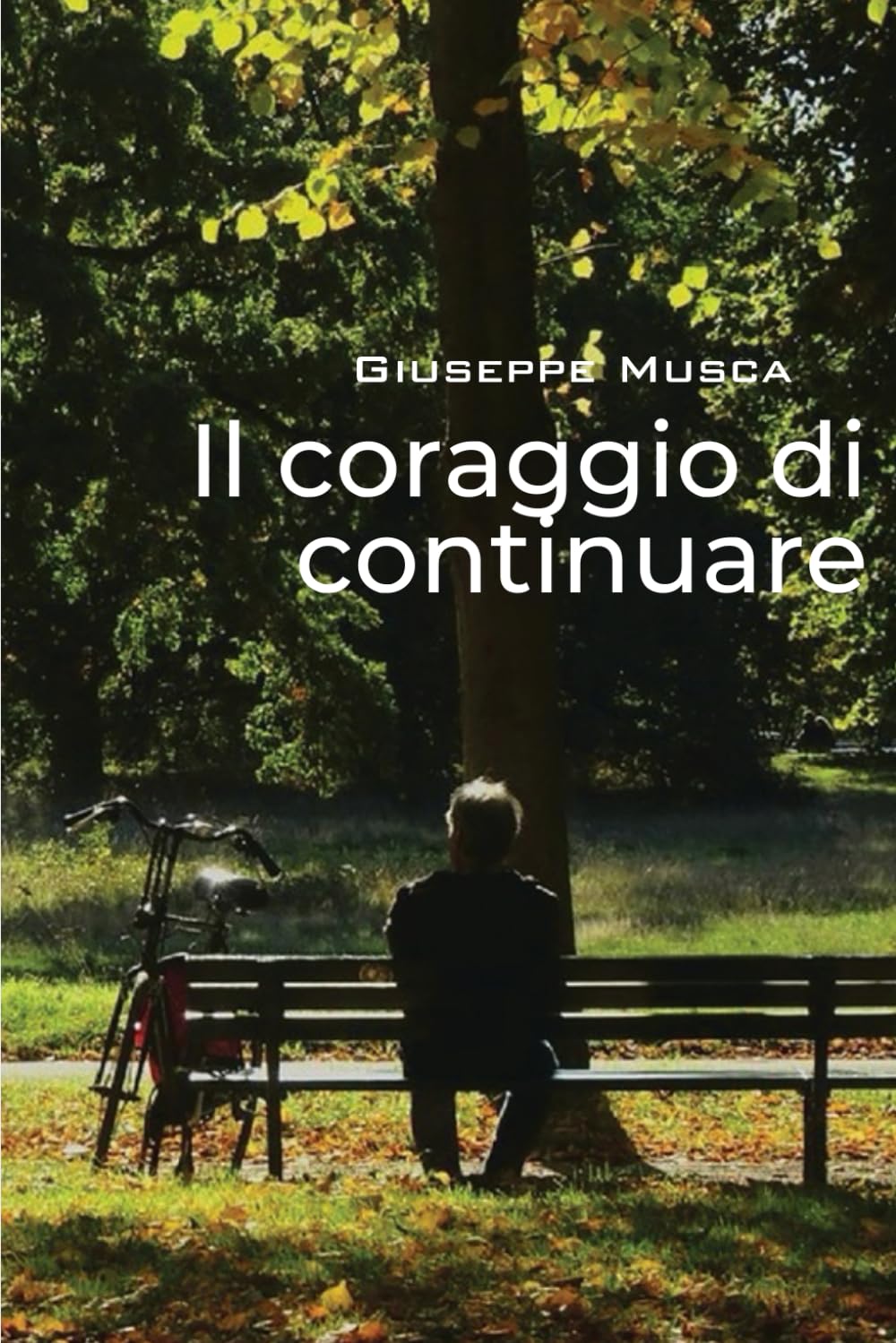 Il coraggio di continuare