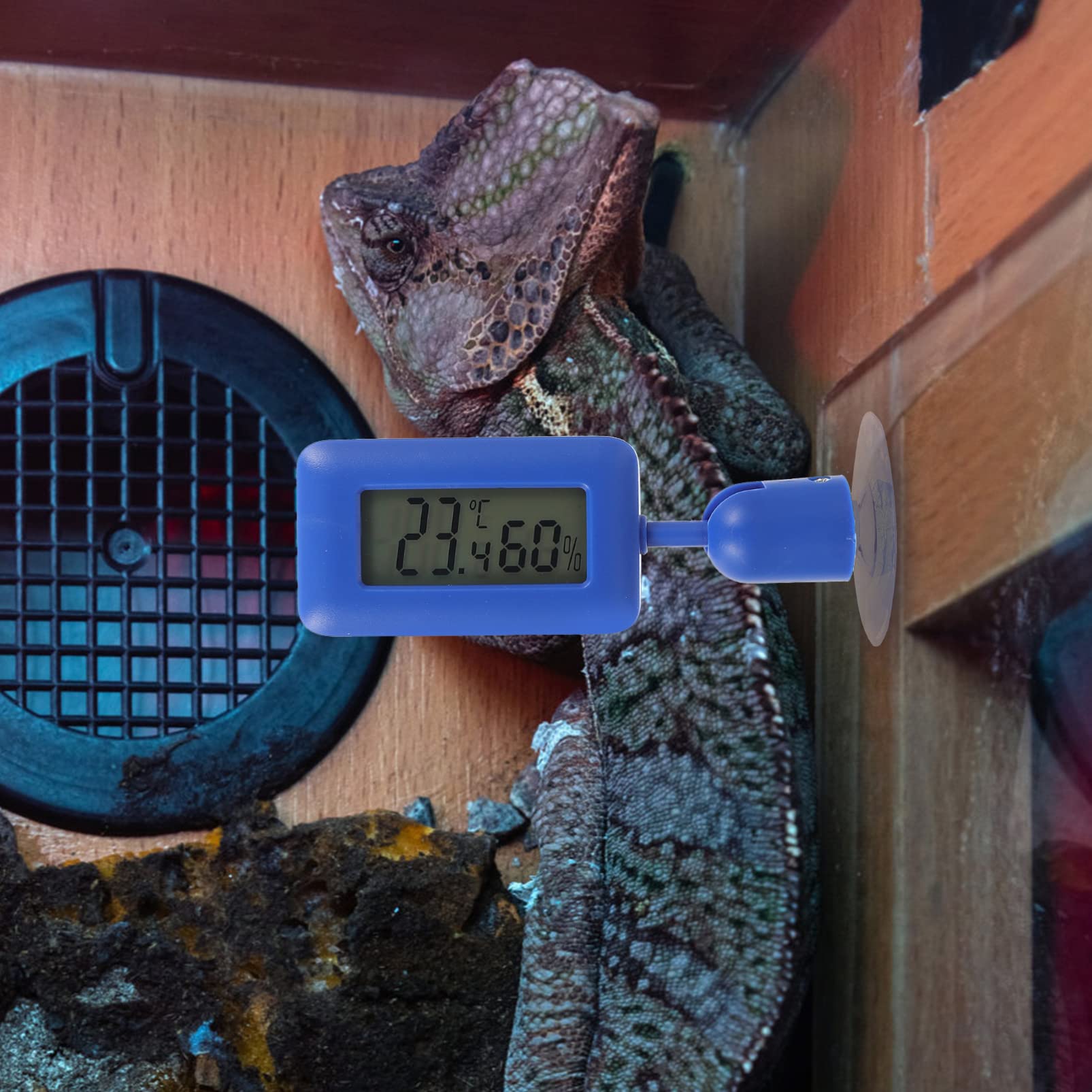 Amosfun 4stücke Rotierendes Saugnapf-thermometer Für Reptilien Hygrometer Mit Drehung Digitale Temperaturmessung Für Aquarium Und Terrarium Blauer Farbton Installieren Bedienen
