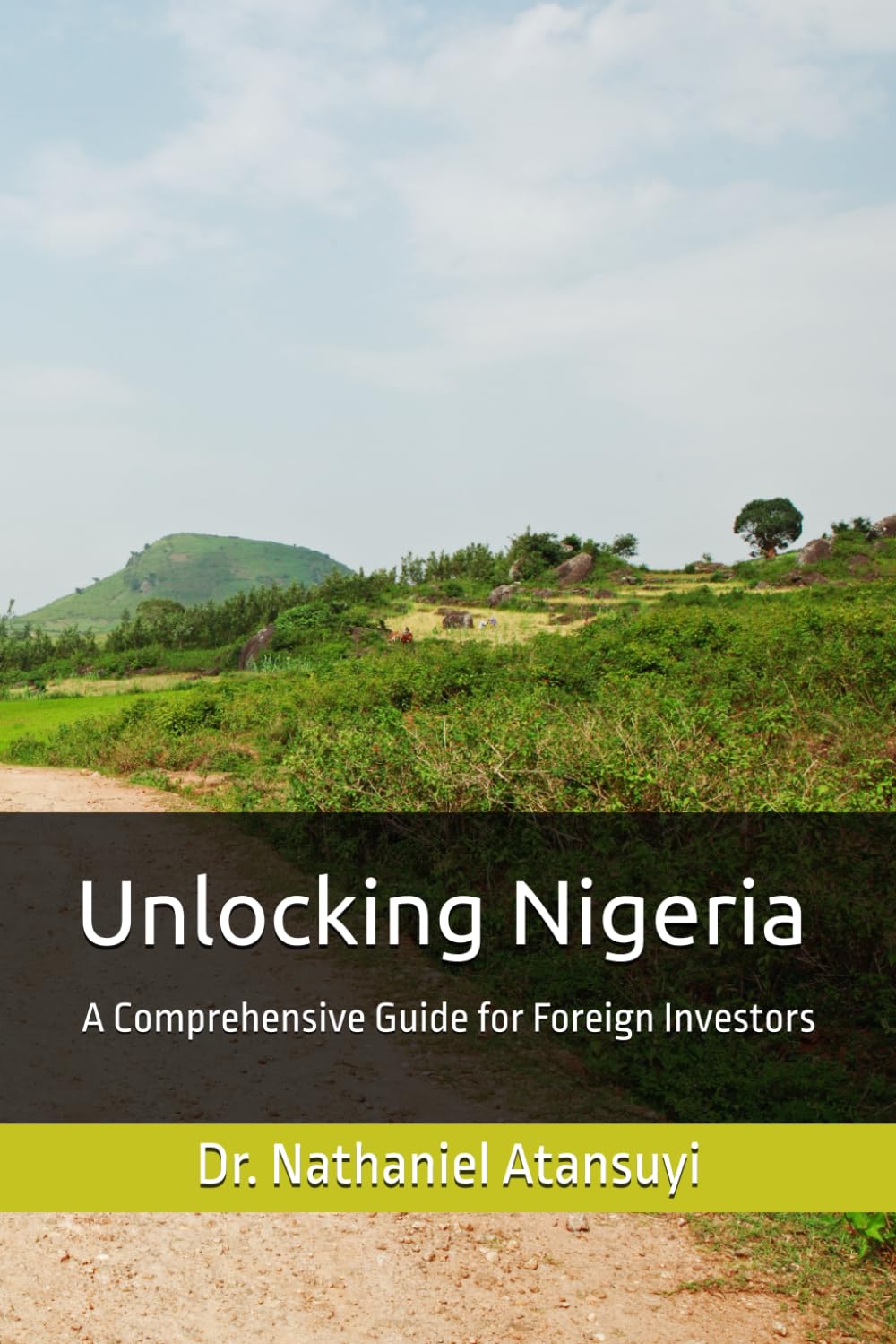 Unlocking Nigeria: A Comprehensive Guide for Foreign Investors