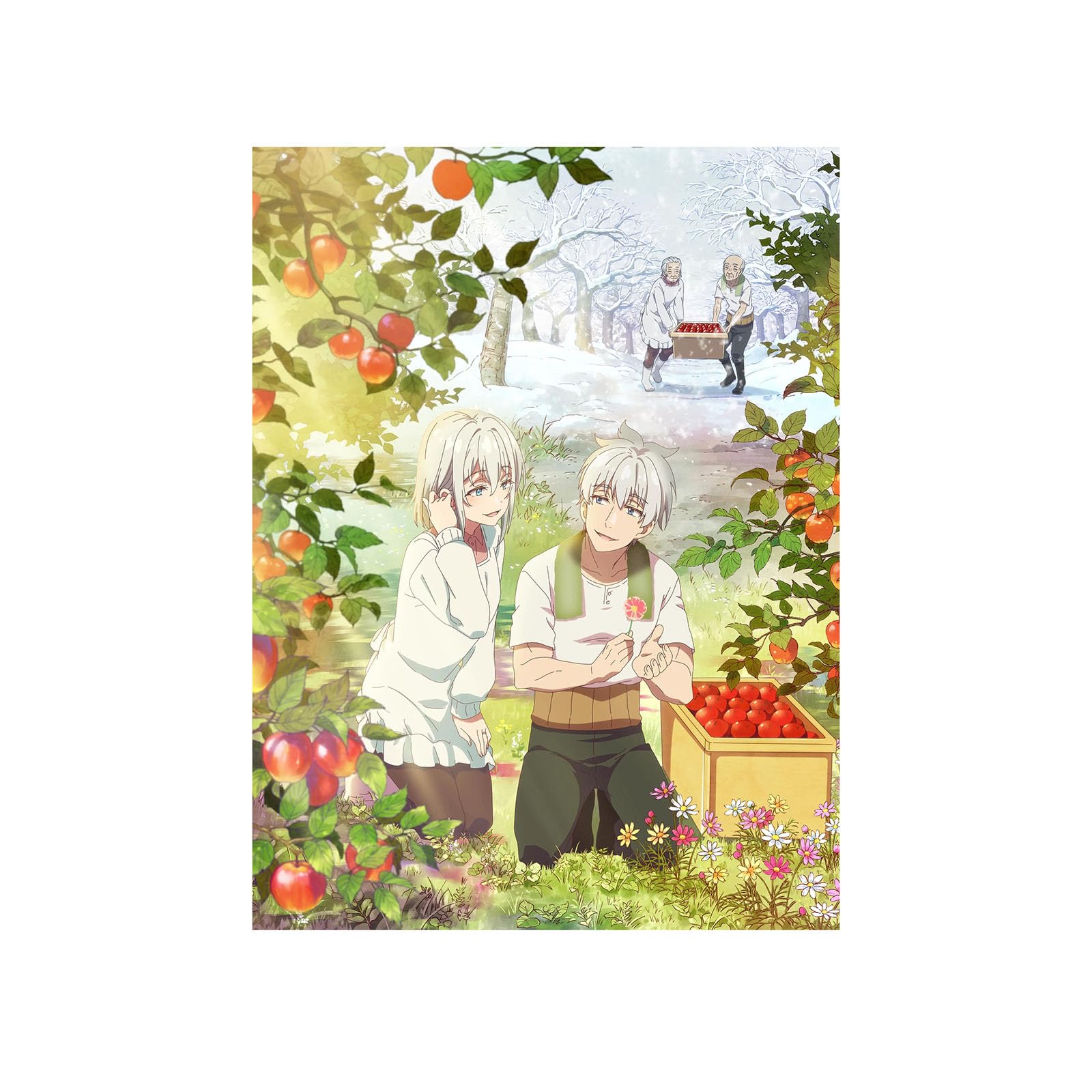 【コンプリートボックス全11巻】じいさんばあさん若返る,DVDプレーヤー 対応