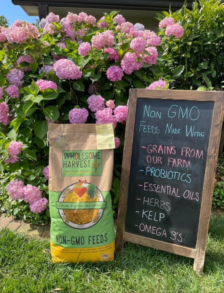 Corn & Soy-Free Chick Starter Feed - All Grain & Non-GMO Chick Food Starter with Omega 3 - Chicken Feed for Growing Healthy Chicks with High-Protein 22% and Probiotics - 40 Lb