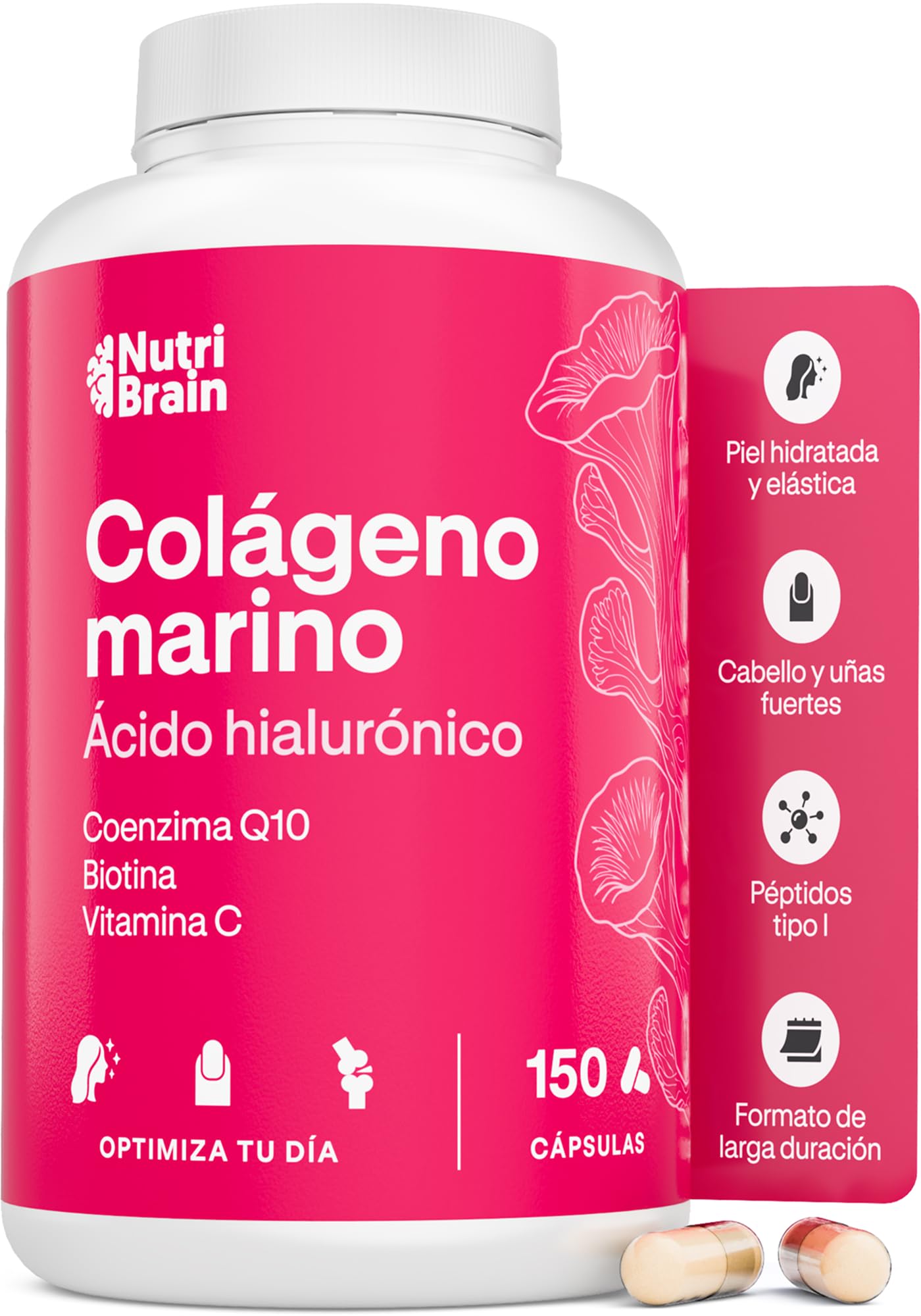 Colágeno Marino Hidrolizado Puro con Ácido Hialurónico y Coenzima Q10 + Á. Hialu