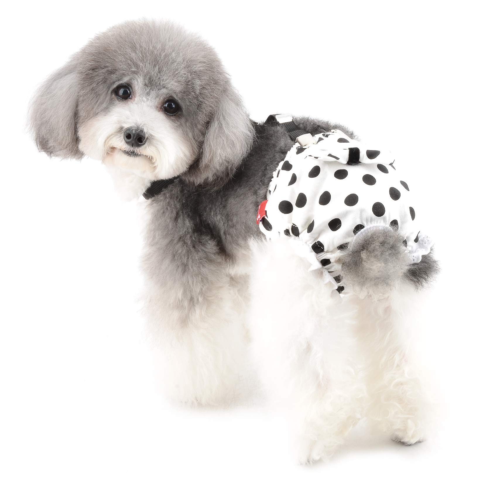 Ranphy Dog Sanitary Panties Female with Suspenders Washable Dog Diapers Polka Dot Doggy Underwear Reusable Dog Heat Panties Doggie Nappies Belly Bands Safety Pants with Bow-Knot with Bow-Knot