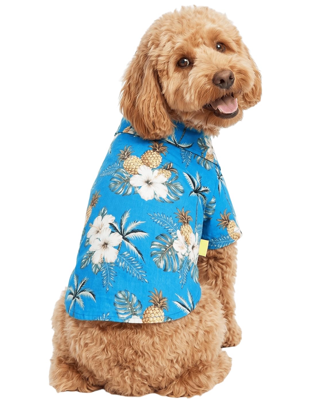 DroolingDog Hawaiian Shirts for Small Dogs Camp Clothes Cat Apparel Pet Vacation Tee Shirt, Medium
