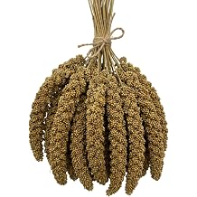 12 Pcs Millet Spray, Hamster Sprays, Budgie Treats, Sprays for Hamster, Birds and Small Animals - Budgies, Canaries, Cocktaiel, Parrots, Budgies, Robins and Finches Etc