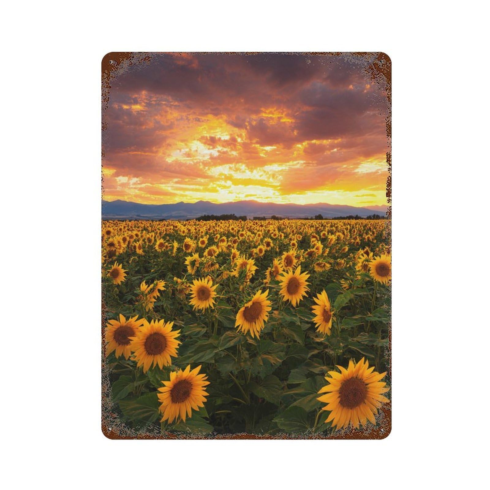 Sunflower Field Sunset-1 Vintage Rust Metal Sign 15.7"x11.8", Shabby Chic Decor for Living Room, Hallway And Home Decor