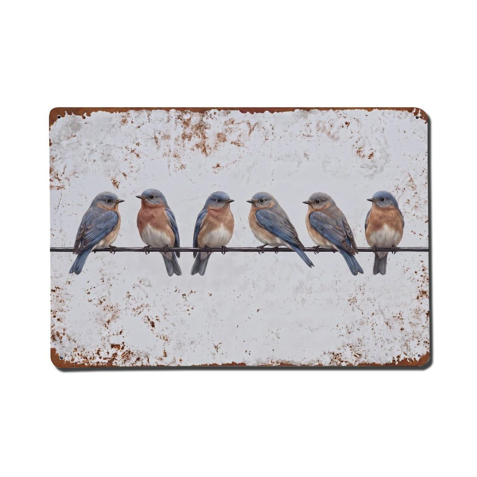 Vintage Retro Birds Bluebird Metal Tin Sign