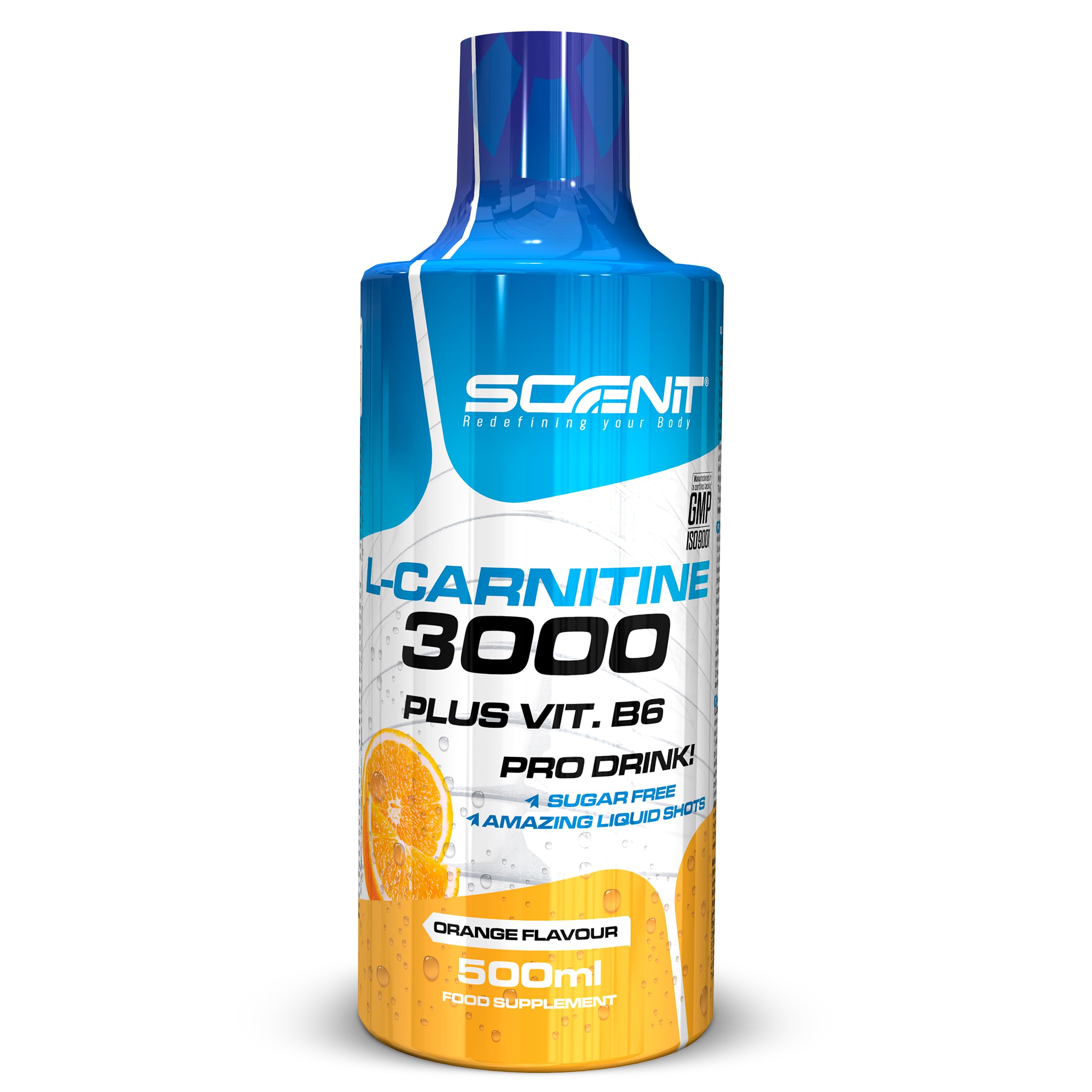L Carnitine 3000 – L Liquid Carnitine 500 ml – Liquid Carnitine 3000 – Liquid  Carnitine – L-Carnitine 3000 – L Carnitine Ampoules – L Carnitine – L –  Carnitine (1 Bottle of 500 ml) (Orange) : Amazon.it: Health & Household