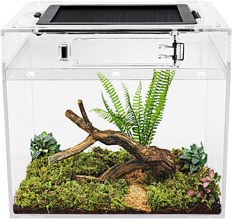 Reptile Growth Mini reptile tank（PC）,8" x 8"x 7" vivarium with Top Sliding Door Screen Ventilation for Small Fish,Insect,Snail,Gecko，Tarantula,Bearded Dragon,Jumping Spider,Stick Insect