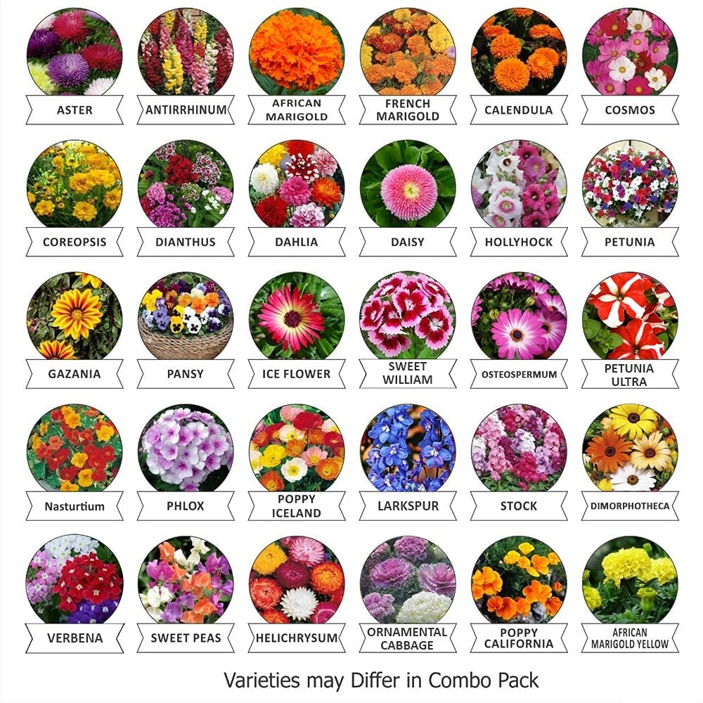 Afflorance® Gardening Flower Seeds Combo Pack of 40 Variety Flower Seeds.Universal Economical Seeds Pack for Home and Terrace Garden. (B09TWBSTFG) Amazon Price History, Amazon Price Tracker