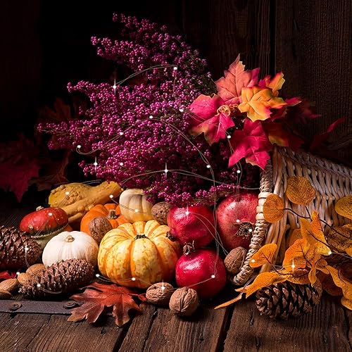 Miniatura 3 de Sterno Home GL40736 - Lote de 4 luces LED para cableado de hadas, funciona con pilas, con mando a distancia, 50 cuerdas de 16.4 pulgadas, alambre de