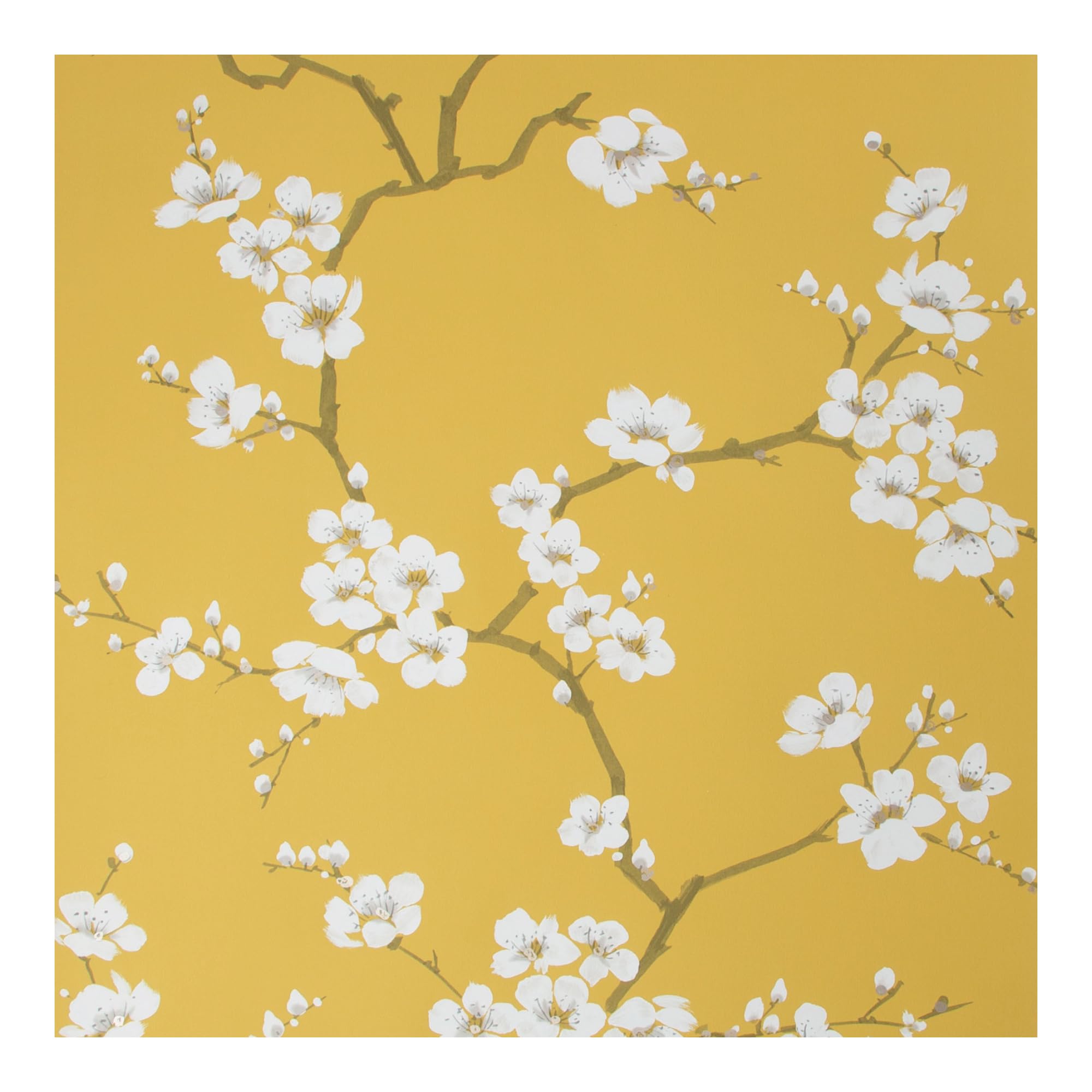 Fresco Ochre Apple Blossom Floral Wallpaper | Ochre Floral Wallcovering | Eco-Friendly Wallpaper