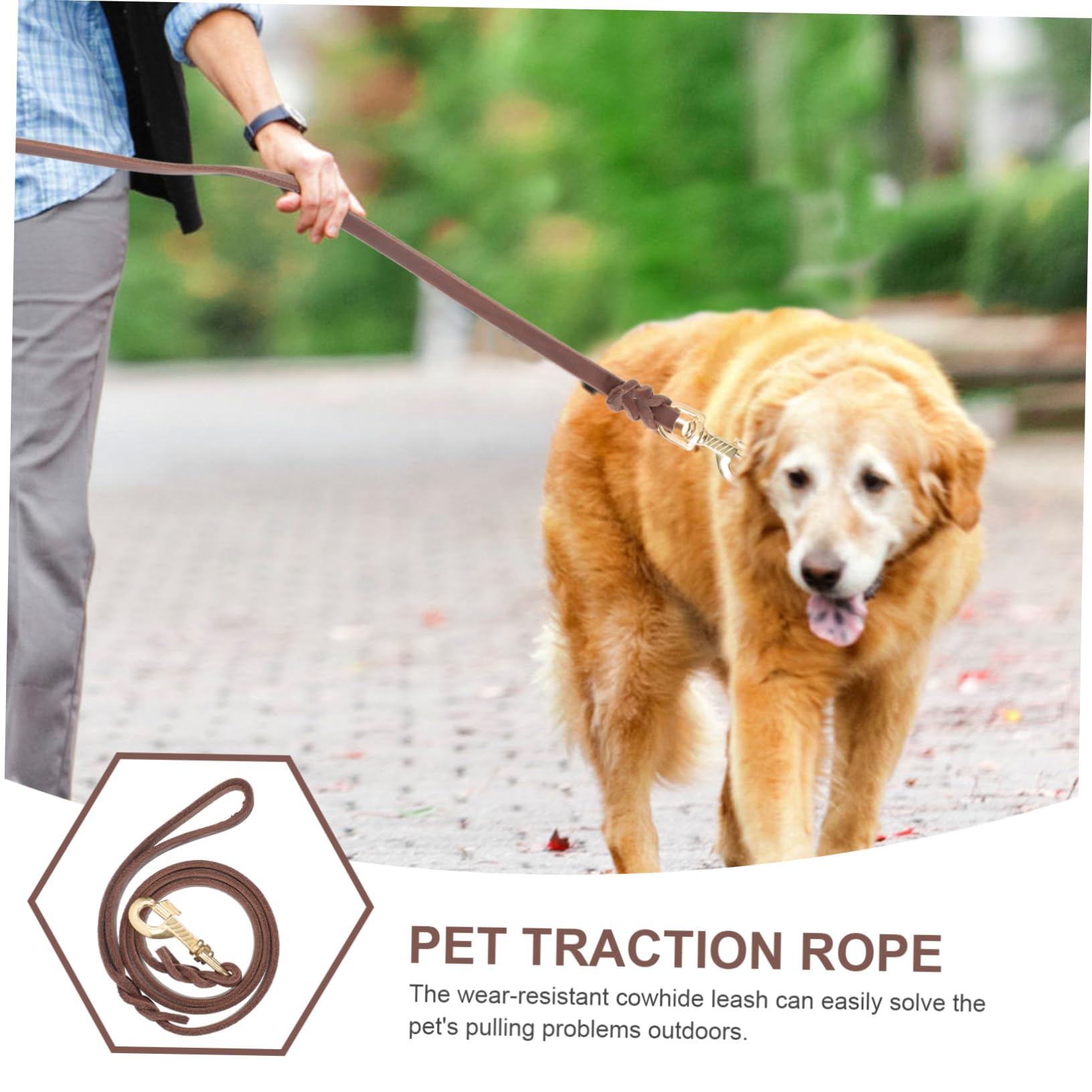 Toddmomy Correa Perro 3 Piezas Correa De Gatito Retráctil Collar De Cuerda Cachorro Cuerda De Tracción para Mascotas Correa para Perros Grandes Pasear Al Cinturón Correas Cuero